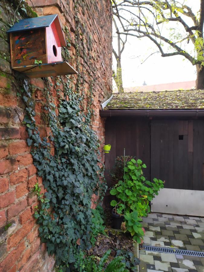 Cozy Uppertown Studio Zagreb Buitenkant foto